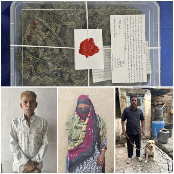 WhatsApp Image 2026-02-04 at 5.26.08 PM