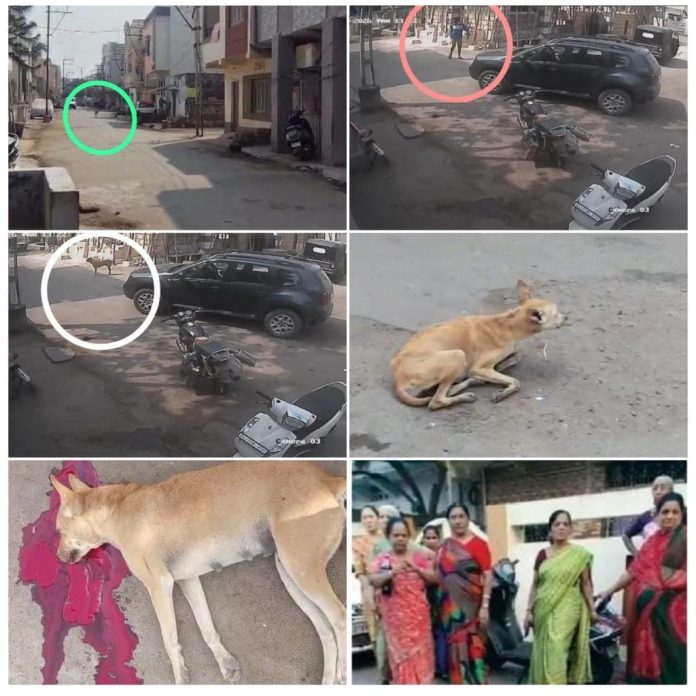 WhatsApp Image 2026-02-05 at 8.42.26 PM