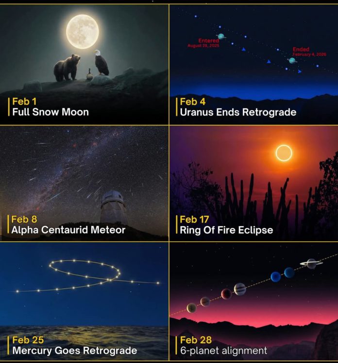 WhatsApp Image 2026-02-06 at 6.41.34 PM