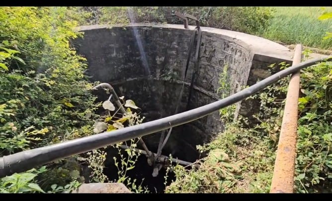 WhatsApp Image 2026-02-17 at 4.05.52 PM