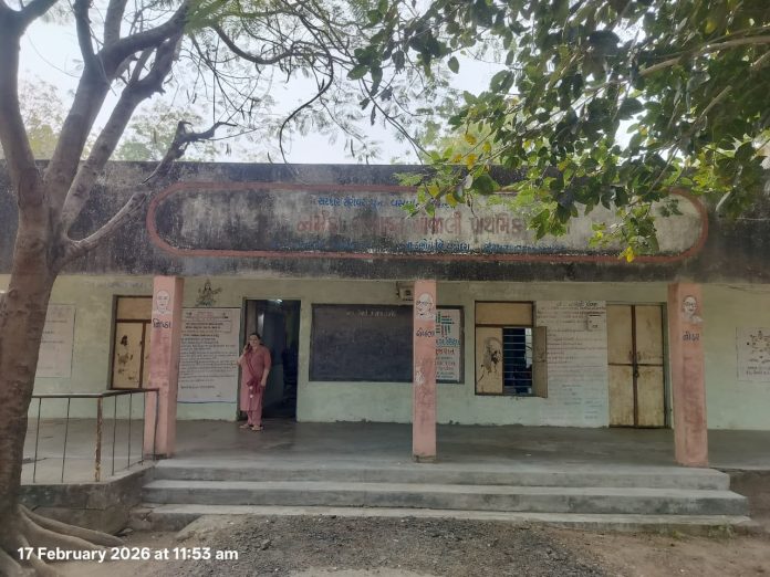 WhatsApp Image 2026-02-17 at 4.10.22 PM