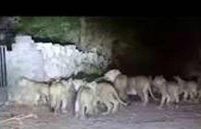 content_image_055eb4f3-c212-4864-883b-37cd2b097d02