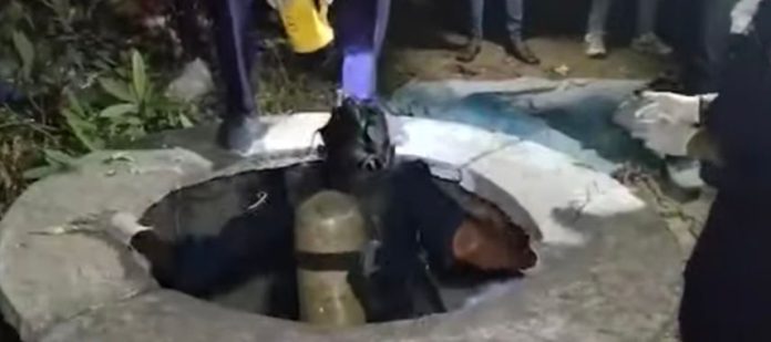 content_image_153a1d9a-37f1-4d0f-a06d-d163c5b6f5fd