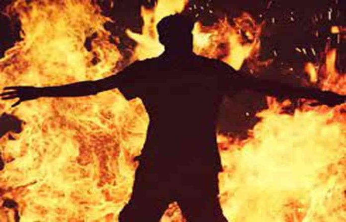 content_image_1952b1cd-2ec4-4609-b669-487cc3faa9b1