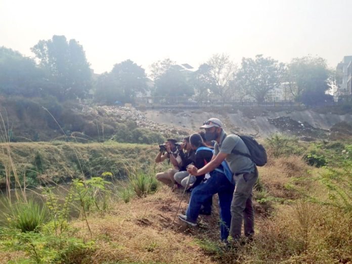 content_image_2e7d30f1-f611-4602-9835-d7d0abddbd2c