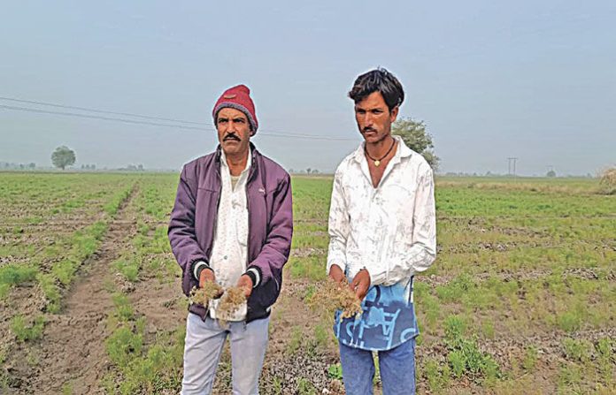 content_image_32494337-4fb9-4dc0-8640-b949183801f2