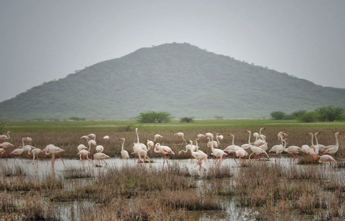 content_image_34f57df8-5076-493e-8c03-7c91ff82b7fe