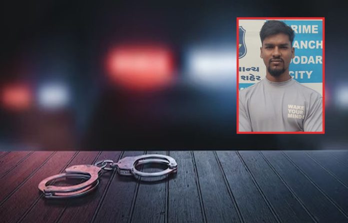 content_image_3c6dd1e3-0704-4687-9ccd-d829781ff575