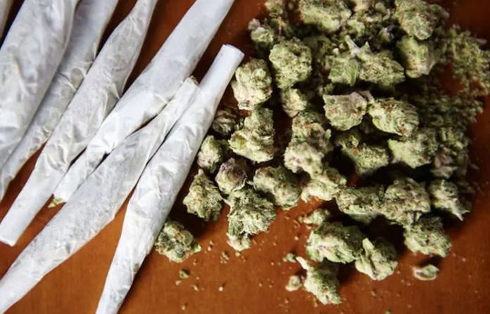 content_image_462eca5d-5316-4f42-b6ba-879fb0d01dd8