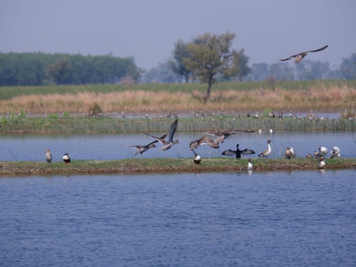 content_image_5cfa8955-3ff3-4f4d-87a1-644094e4b5a3