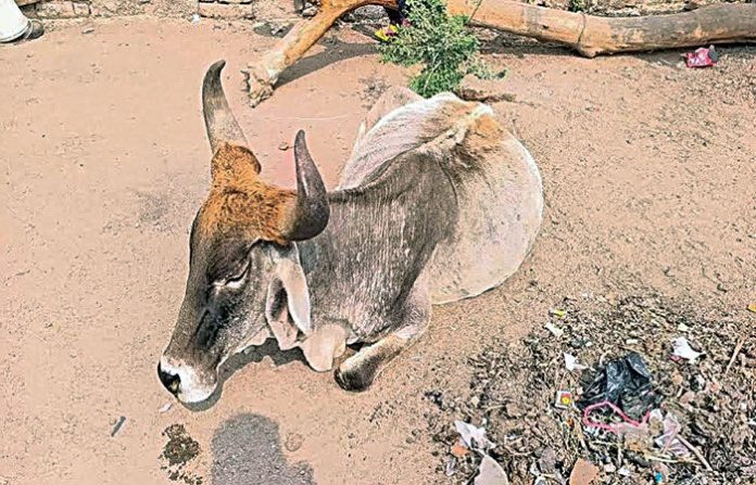 content_image_63fd6d18-f7b5-4c43-8e90-f86b00adb5eb