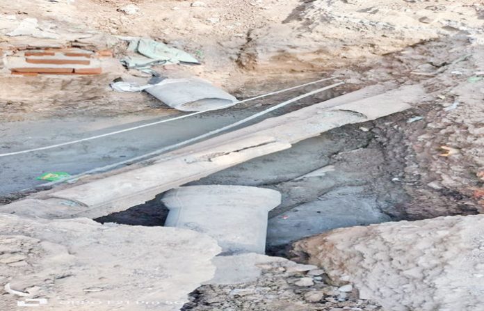 content_image_695aa845-e1fc-4e1c-8a56-05c20d51d52c (1)