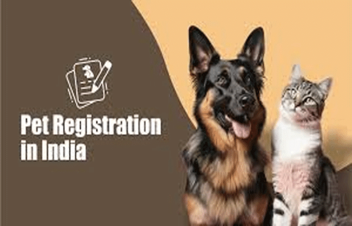 content_image_6c5429b3-be36-4733-baa6-a3e16e2aea19