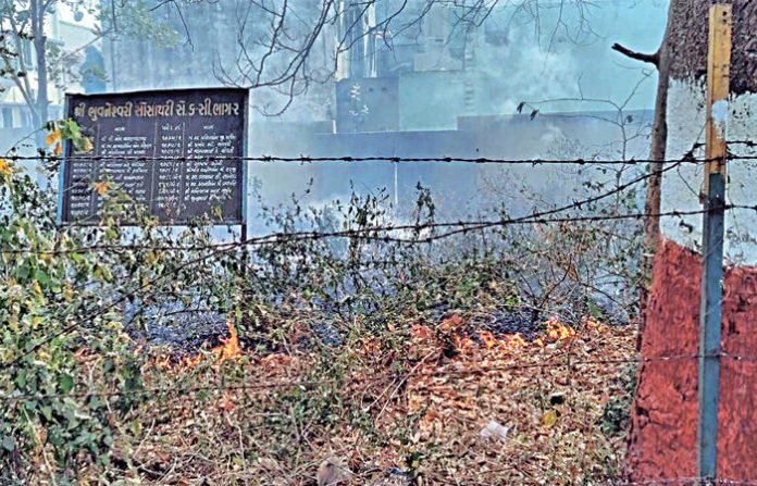 content_image_731e8a1b-0b95-4b78-948e-7a9649d0816f