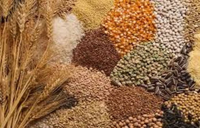 content_image_8223d822-64e2-49f7-9413-71b94a1d1f91