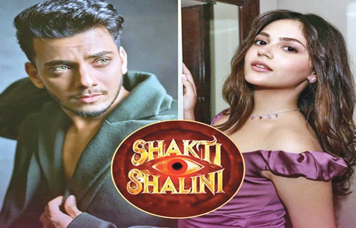 content_image_88e1c3b2-26ce-4c96-adbc-b78575a28e05