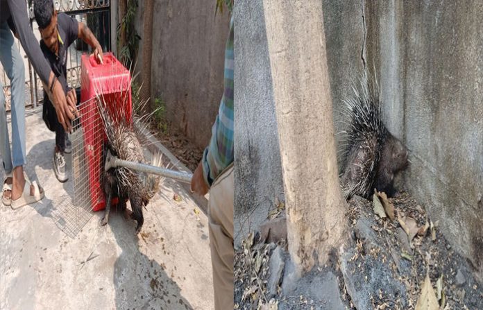 content_image_91b7fb50-6c36-45af-b3f6-6056c9395bcf