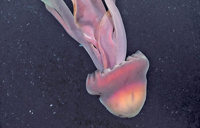 content_image_a7c584c4-f2e9-4742-80d0-40110e49e1d0