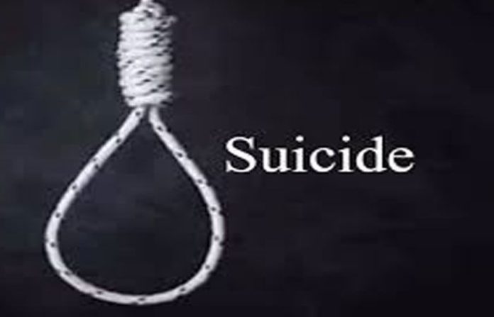 content_image_aa313ac4-ac68-47e8-a8ad-987047660d6a