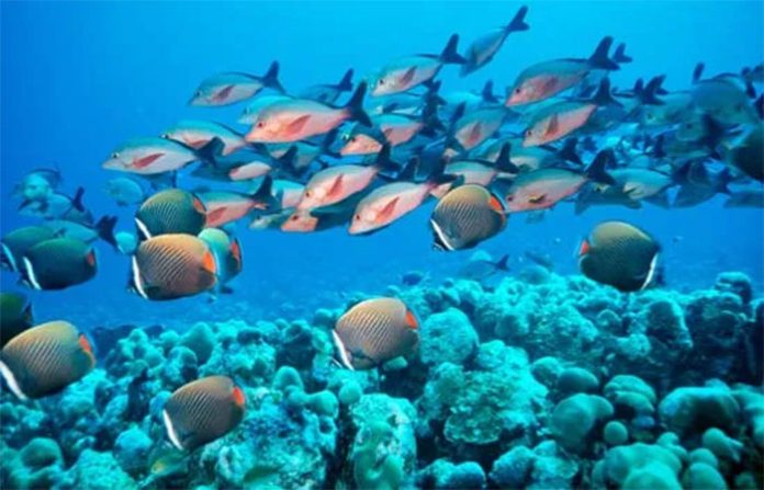 content_image_aa4734fb-35c4-4ae7-af91-d5b0f0c04b30