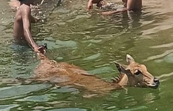 content_image_aed3c0f6-5a65-49c2-8724-cef76504d24b