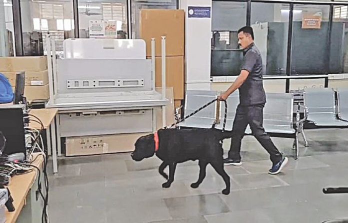 content_image_afa2212f-519e-4bb8-b1e4-d9a9e7c39c28