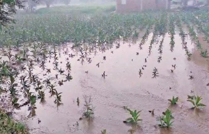 content_image_bb381178-49fe-4122-8567-3447f469acb0