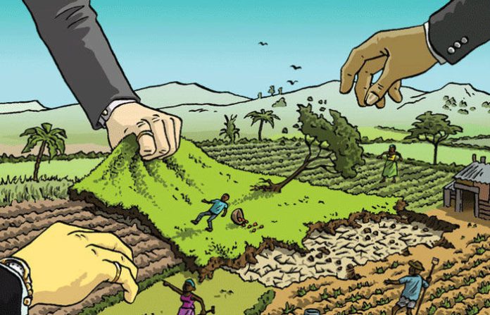 content_image_c7682d62-b402-4b71-9113-9b81da336bdd