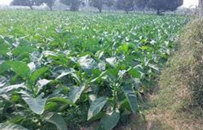 content_image_dad95bf9-8378-4e09-ab19-1b5c9e3a454c