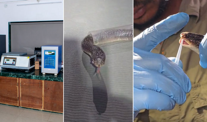 content_image_f3687b9f-a63d-437e-bbc5-fbda333730d8