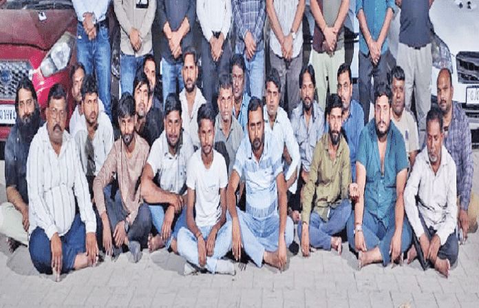 content_image_03d60a95-f5ad-415b-8594-ef56af88f0b5