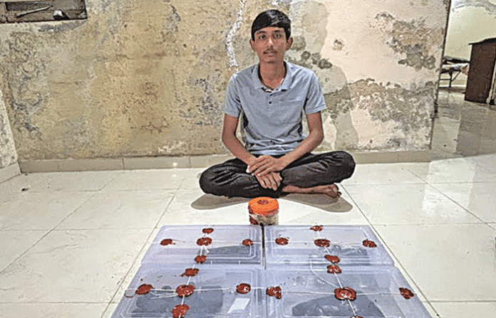 content_image_0569259b-0f12-407d-b6f0-3b8f669d75b5