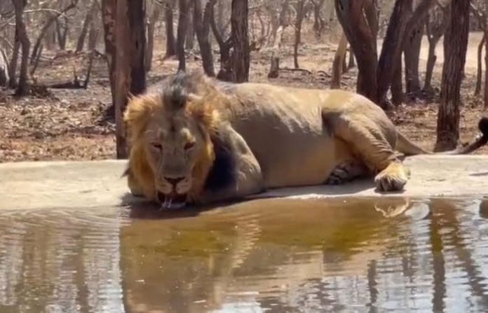 content_image_1a84811e-3aaf-4efd-b430-18bd93eda7e6