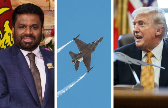 content_image_1f437735-6128-4398-a5d1-273137798619