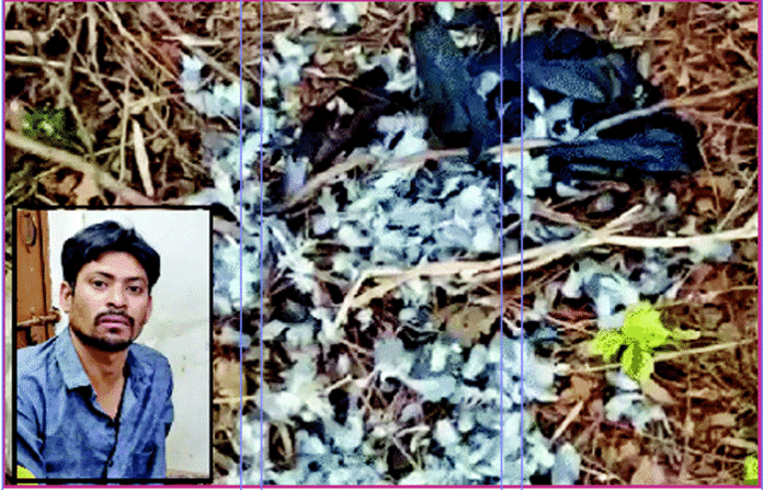 content_image_1fb3cfd1-1d45-4727-aede-0c30b3737ea3