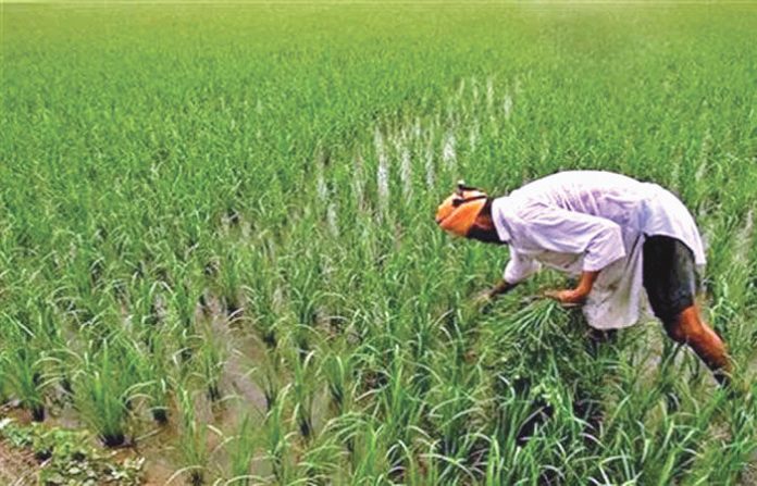 content_image_24ef0b4e-ad3e-4544-a88a-2fe73b4ec0de