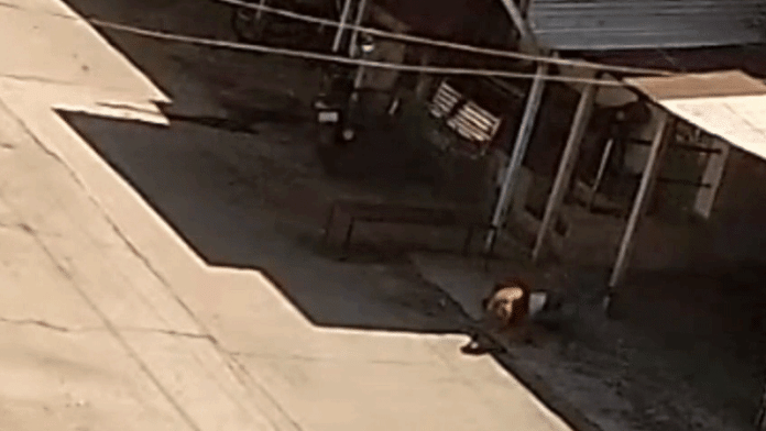 content_image_252fea93-c8e4-4179-be22-d2816f788645