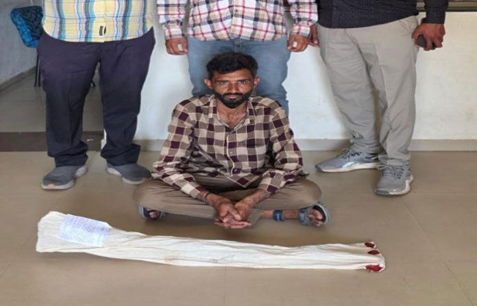 content_image_27f9d735-6b55-44ee-9d38-52a3c5936b79