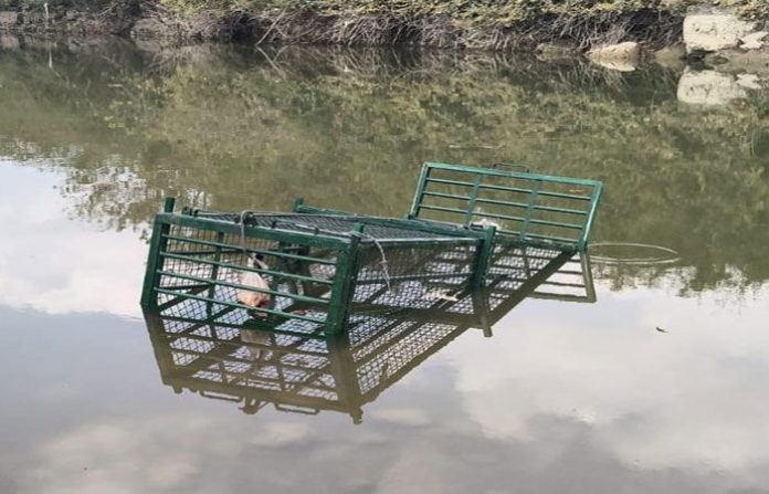 content_image_2c1ea832-4dac-4197-8eb3-41e631a6311f