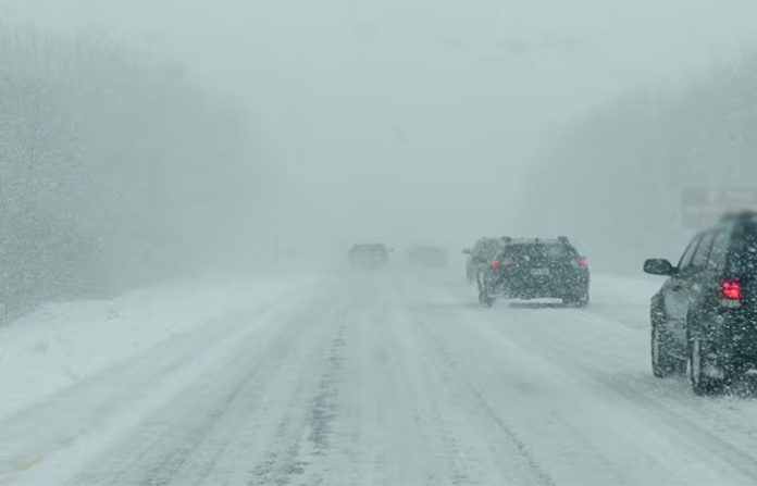 content_image_30276bc2-eef9-48c5-8ff9-b4c23a88c240