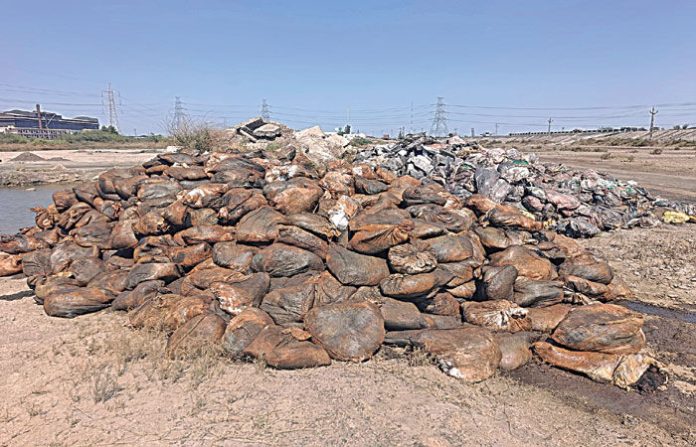 content_image_31f174f4-ea38-4ee2-bbf3-734939f372f3