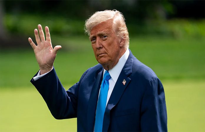 content_image_33be3c65-af5b-4c6b-9fc3-6741b4c24db8