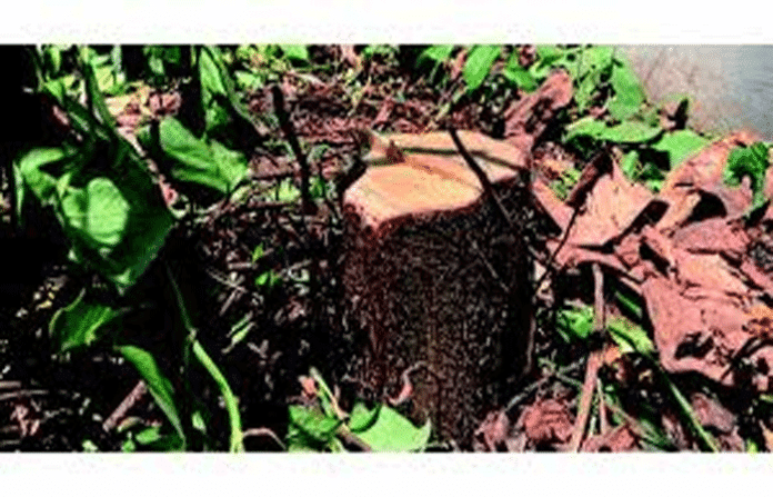 content_image_3db3c8ed-3025-4d5e-9cee-d8b8b5aa3a17