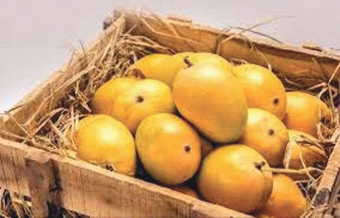 content_image_46e59542-8220-4ee3-9dfb-edd1acad7990