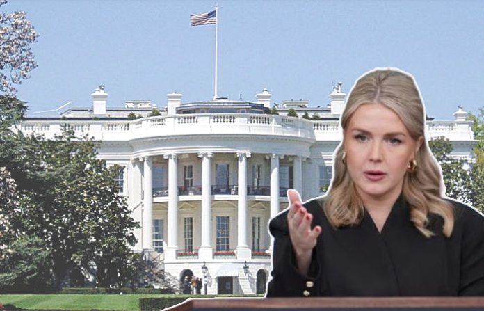 content_image_4a7c7593-c7ce-44aa-82b5-4ffb5265f494