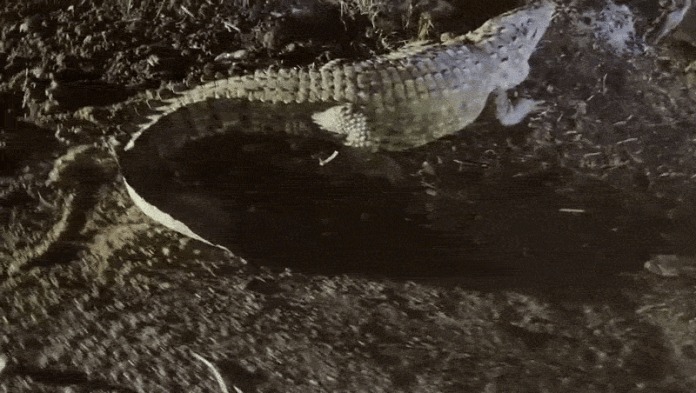 content_image_6628030b-54bb-4767-9431-f05fb0a94cfd