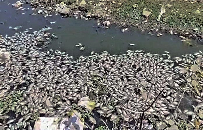 content_image_6d94d424-26ea-4b53-8004-645d983b316c