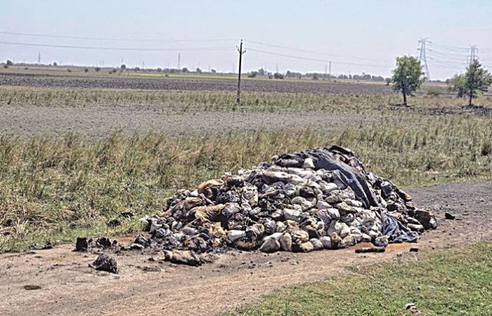 content_image_6dadc6cc-205f-4b7d-baf8-63e82a5a834d