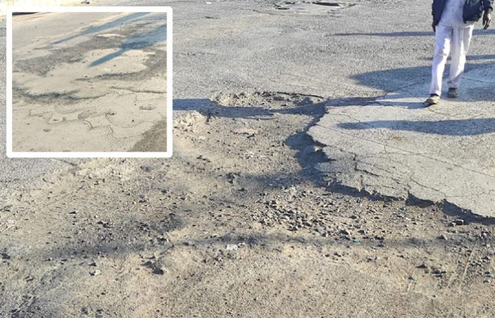 content_image_72a73377-cec9-46f3-966f-af5cf05e786a