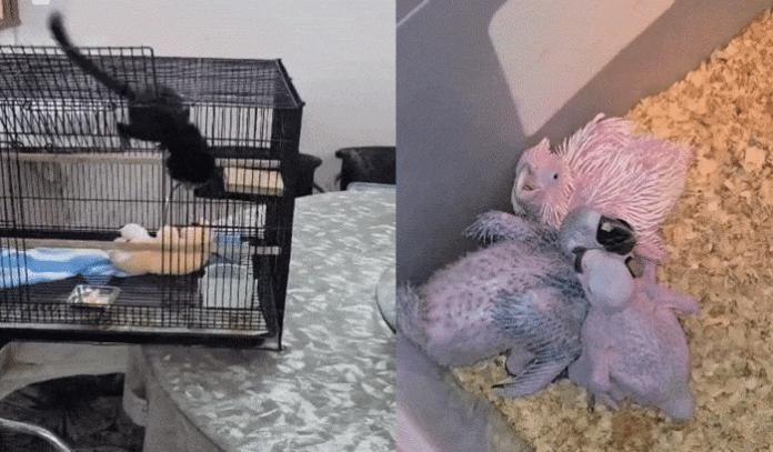 content_image_882377fb-e656-4dcc-9abf-f6fb9ea2adae